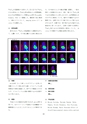 厚生労働科学研究費補助金（難治性疾患克服研究事業）「Menkes病・occipital horn症候群の実態調査、早期診断基準確立、治療法開発に関する研究」平成22年度 総括・分担研究報告書