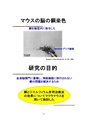 厚生労働科学研究費補助金（難治性疾患克服研究事業）「Menkes病・occipital horn症候群の実態調査、早期診断基準確立、治療法開発に関する研究」平成22年度 総括・分担研究報告書