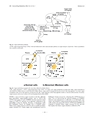 厚生労働科学研究費補助金（難治性疾患克服研究事業） 「Menkes 病・occipital horn 症候群の実態調査、早期診断基準確立、治療法開発に関する研究」 平成23年度 総括・分担研究報告書