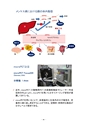 厚生労働科学研究費補助金（難治性疾患克服研究事業） 「Menkes 病・occipital horn 症候群の実態調査、早期診断基準確立、治療法開発に関する研究」 平成23年度 総括・分担研究報告書